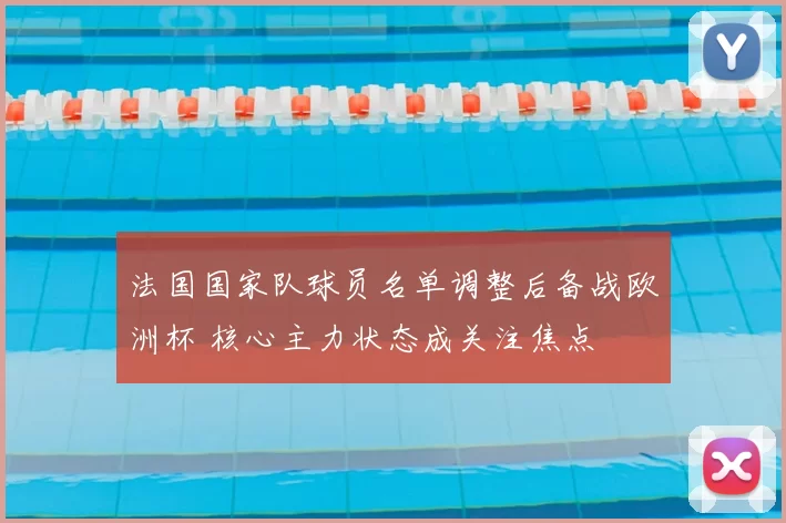 法国国家队球员名单调整后备战欧洲杯 核心主力状态成关注焦点