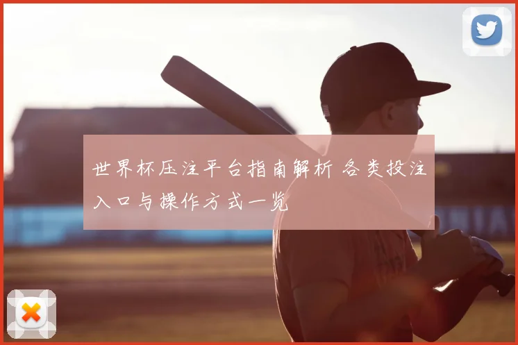 世界杯压注平台指南解析 各类投注入口与操作方式一览